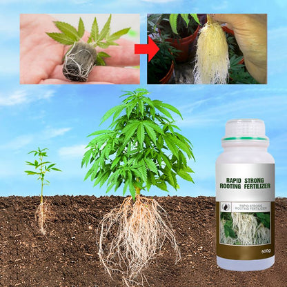 🌱 Schnellwurzeldünger🍅🌸
