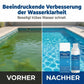 🌊 Schwimmbad-Reinigungsflüssigkeit 🛡️