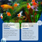 🐠 KAUFE 2, ERHALTE 1 GRATIS! 💧 Wasserklärer für Aquarium – Reduziert Trübung, Unterstützt Klares Wasser & Sicher für Fische 🌿