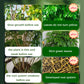 🪴🍃👍Kaufen Sie 2 und erhalten Sie 1 gratis🔥Universal schnellblühendes Pulver für Blumenpflanzen
