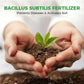 🔥Bacillus Subtilis Dünger – beugt Krankheiten vor und aktiviert den Boden💯