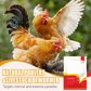 🐓Natürliches inneres und äußeres Entwurmungsmittel für Hühner