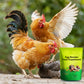 🐓🪺🥚Eier-Booster Futterergänzung