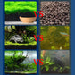 🔥Letzter Tag des Ausverkaufs 50 % Rabatt🌿🐟Wasserpflanzenerde ohne Auswaschen