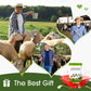 Livestock & Poultry Nutritional Additives