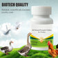 Natürliche Formel-Tabletten für Geflügel