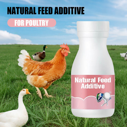 Natürlicher Futterzusatz für Geflügel