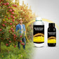 🍎 Obstgartenreiniger – mikrobielle Wirkung + 50 % Rabatt!