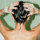 🌿Kräuter-Shampoo-Seife zur Talgregulierung und für mehr Volumen